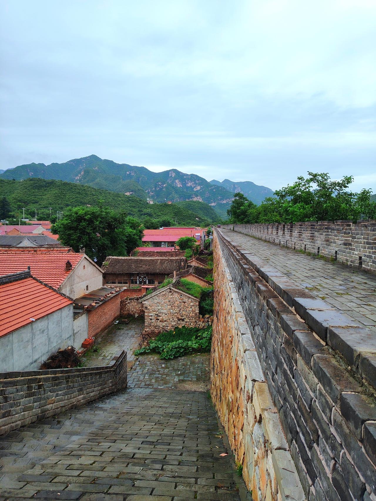 彻底崩了！文旅疯狂砸钱搞流量，咋越砸越亏呢？2000多家旅行社集体倒闭太现实了