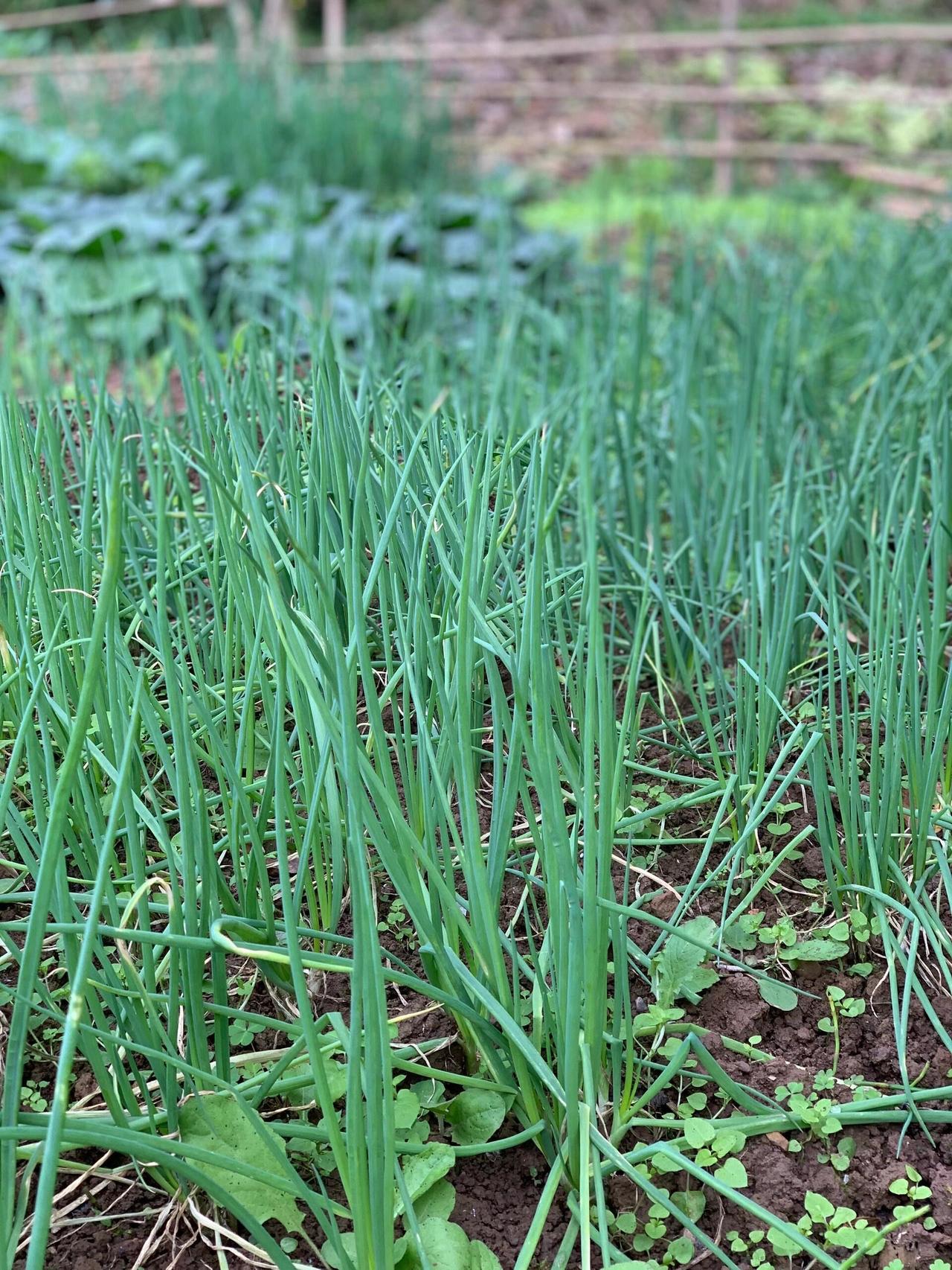 最近听到一段话，差点把我的天灵盖掀了。原话是：“活到七十，和活到九十，没区别。