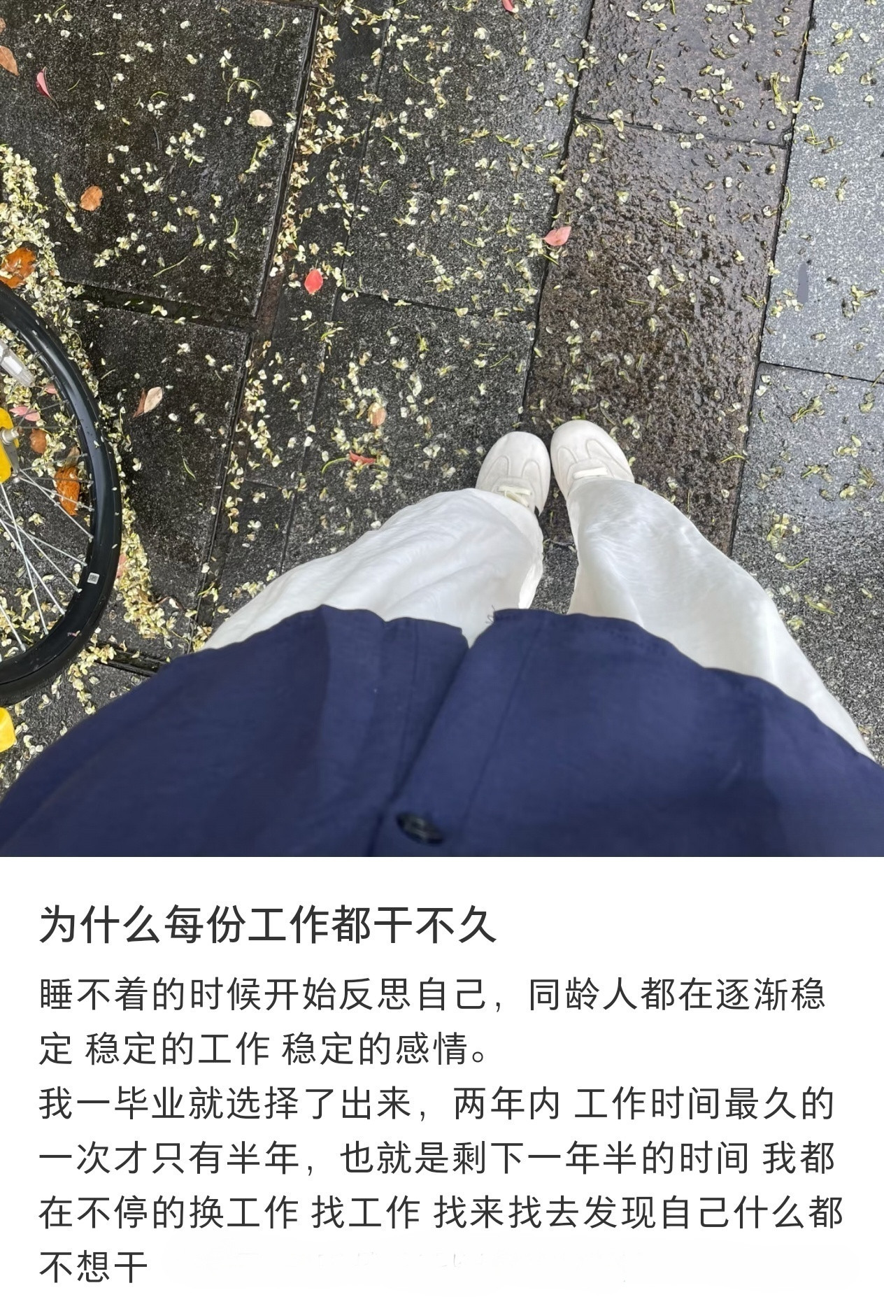 为什么没份工作都干不久！！！