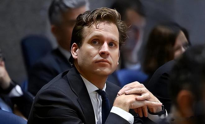 荷兰38天后认怂！安世半导体要回家，但中国得答应这事老铁们，最近半导体圈儿