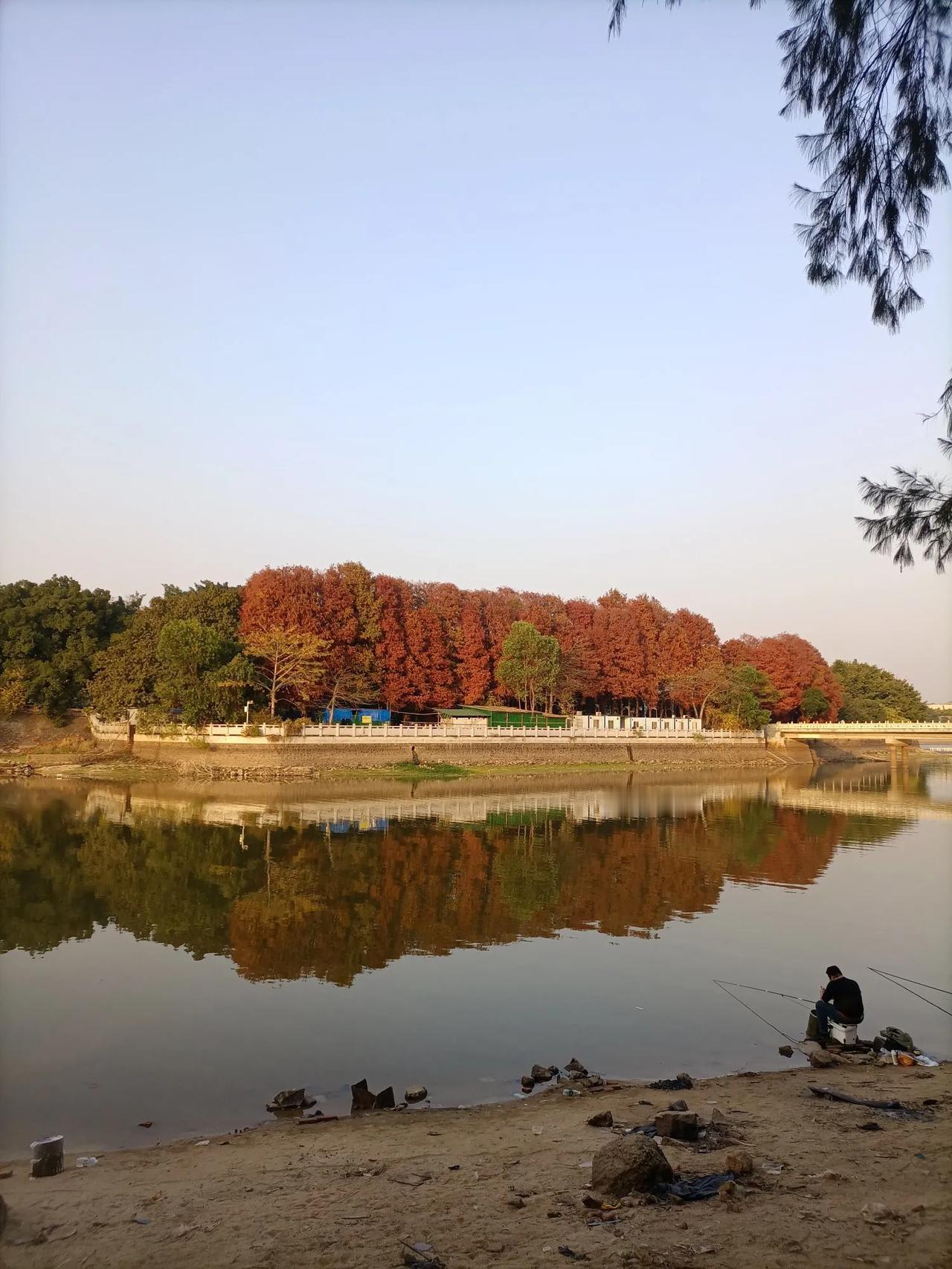 面对眼前的美景，我只能静静地欣赏。今天去东莞湖景水库游玩，看到对面的树林染了红艳