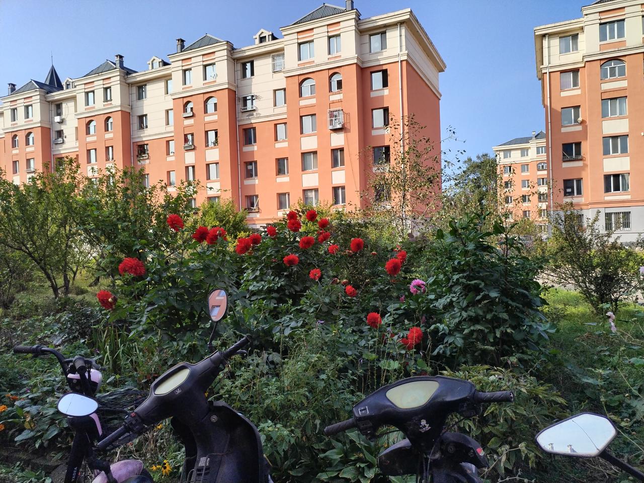 房价下跌的也不知道什么价位了，2011年在我们这个地方那时候是最贵的。每平方25