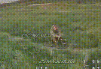 面对无人机的死亡威胁，士兵坦然接受命运安排。在波克罗夫斯克战区的一处前沿阵地