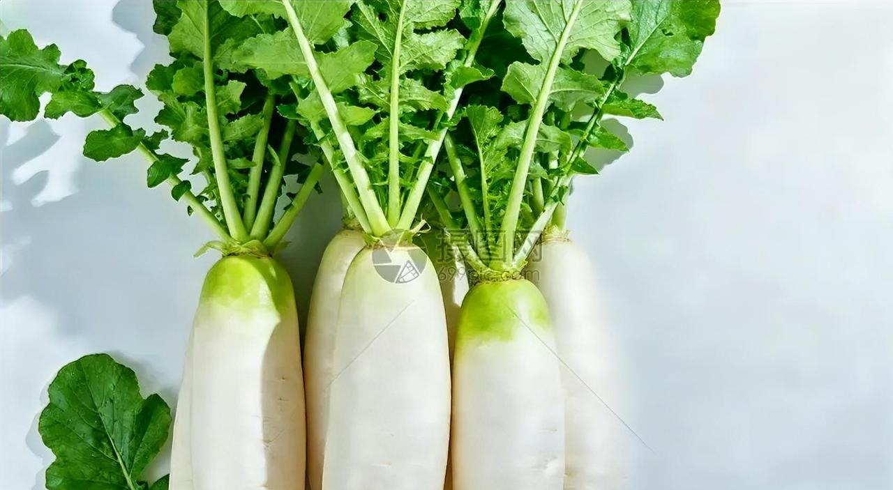 春天吃萝卜，正当季的养生好物春风渐暖，正是吃萝卜的好时候，这口脆嫩鲜爽，藏