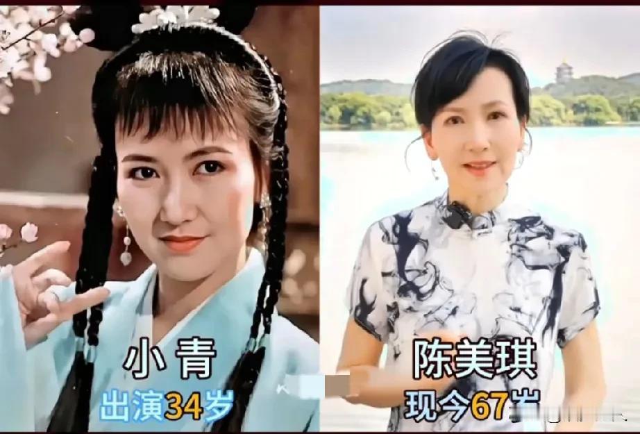 1992年电视剧《新白娘子传奇》演员今昔变化！
