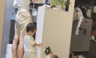 都说猫是主子人是铲屎官，可你见过猫被一个小孩拿捏得死死的吗？我家那只橘猫，平时