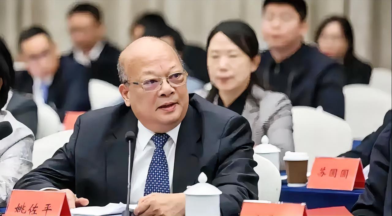 2026年全国两会，北京现场，上汽通用五菱党委书记姚佐平直戳痛点：中国汽车刚从电