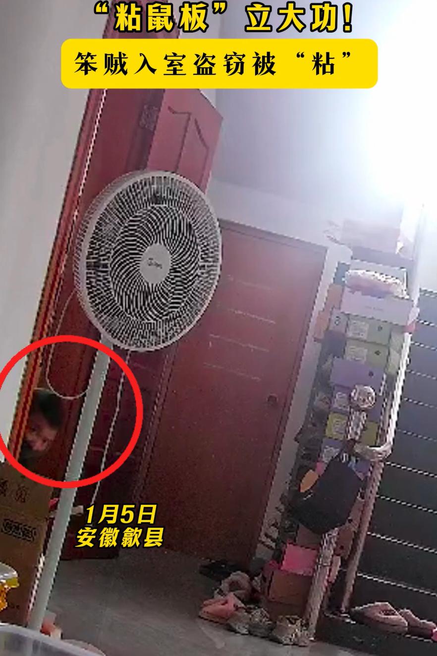 万万没想到！安徽歙县，一男子为了抓老鼠，在家里楼梯拐角的位置放了一个“粘鼠板”，