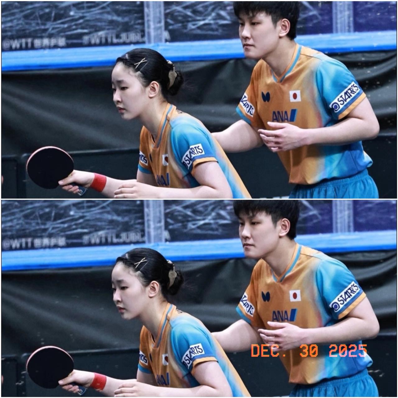 240万罚单砸下！张本一家直接傻眼​​日本乒协昨晚官宣：哥哥被暂停T联赛，妹妹