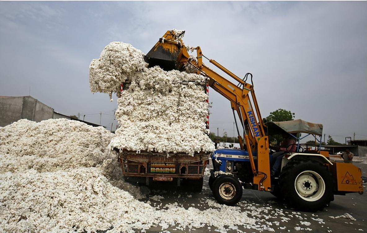 中国每年都要进口200万吨棉花，却把大量的新疆棉往外出口。明明是产棉大国，为何却