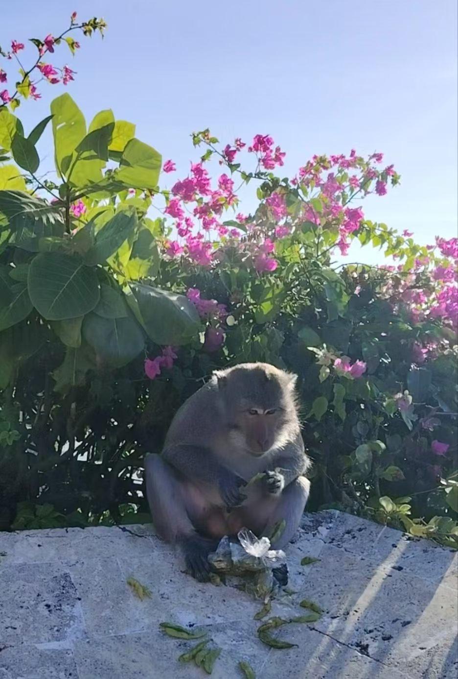 有个远房亲戚，是个县级干部。三年前，他的肾坏了，换了一个肾，据说花了百万人民币