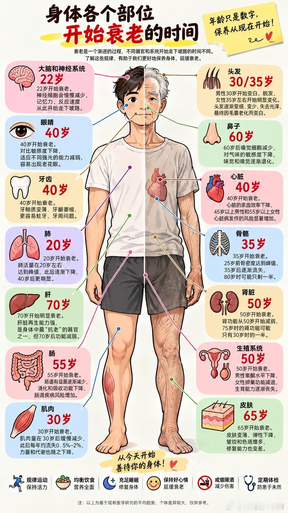 身体各个部位，开始衰老的时间​​​