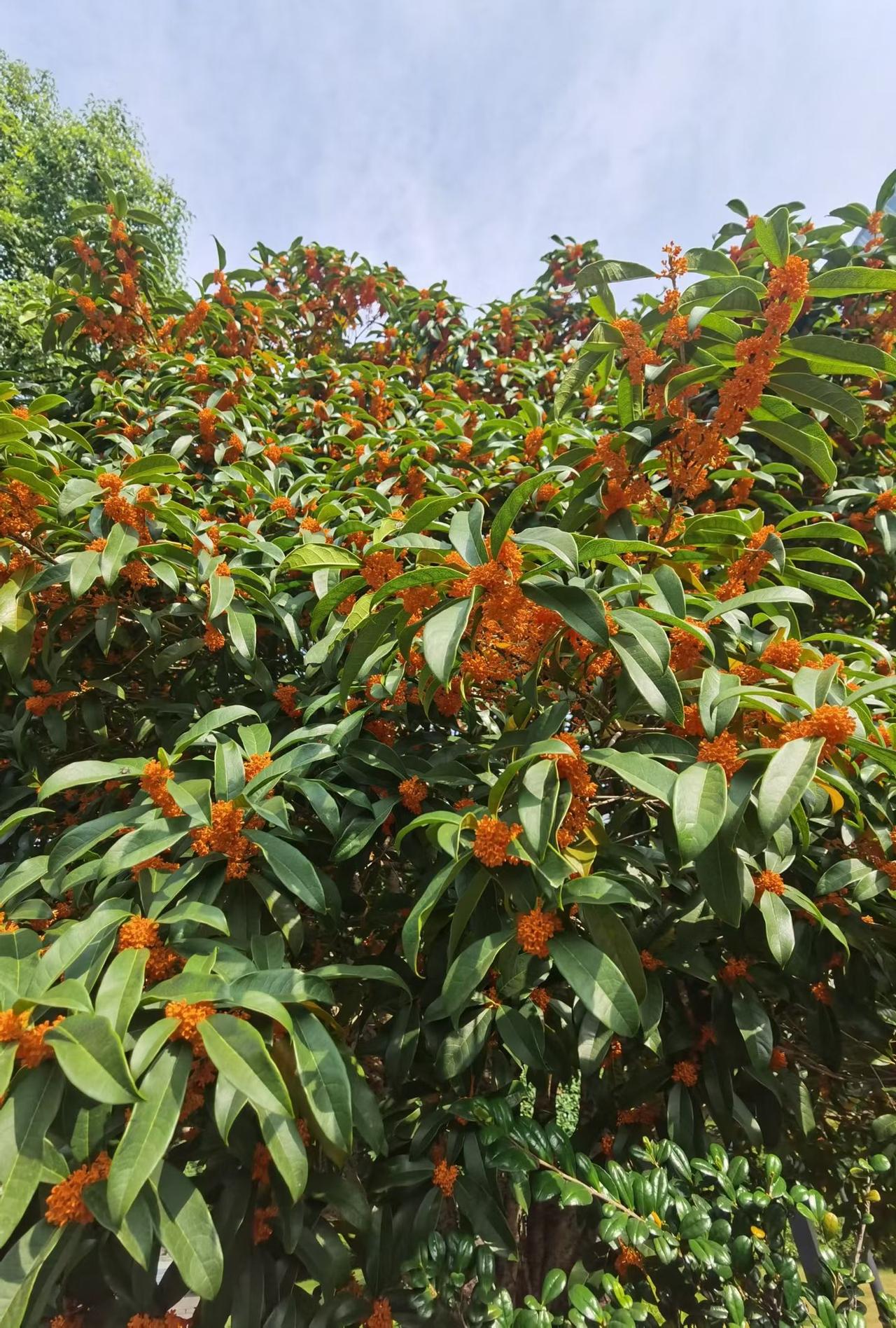 年轻时我们天不怕地不怕，觉得能掌控人生，但经历世事沧桑后，会发现很多事难以改变。