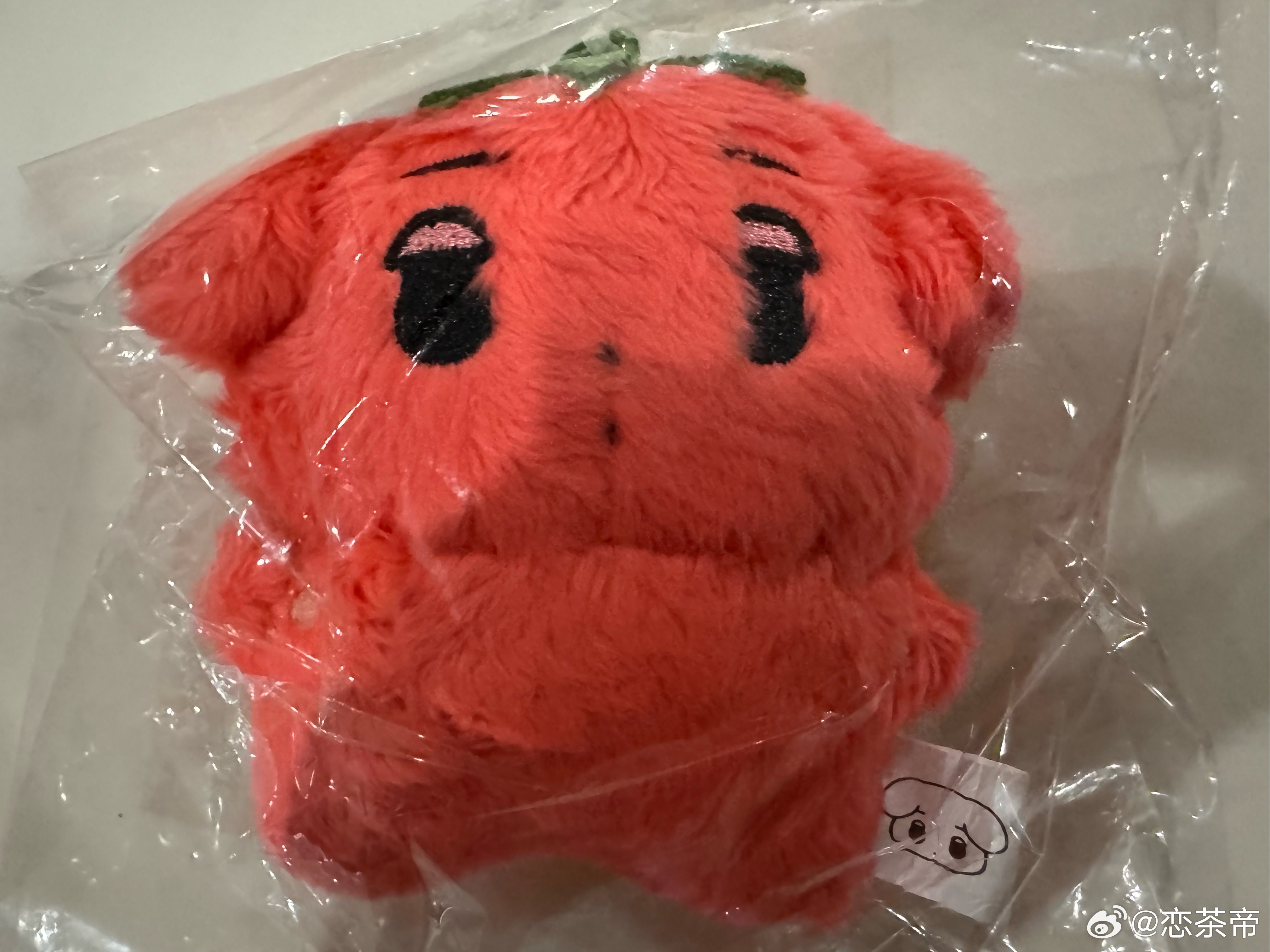狗……被压扁了