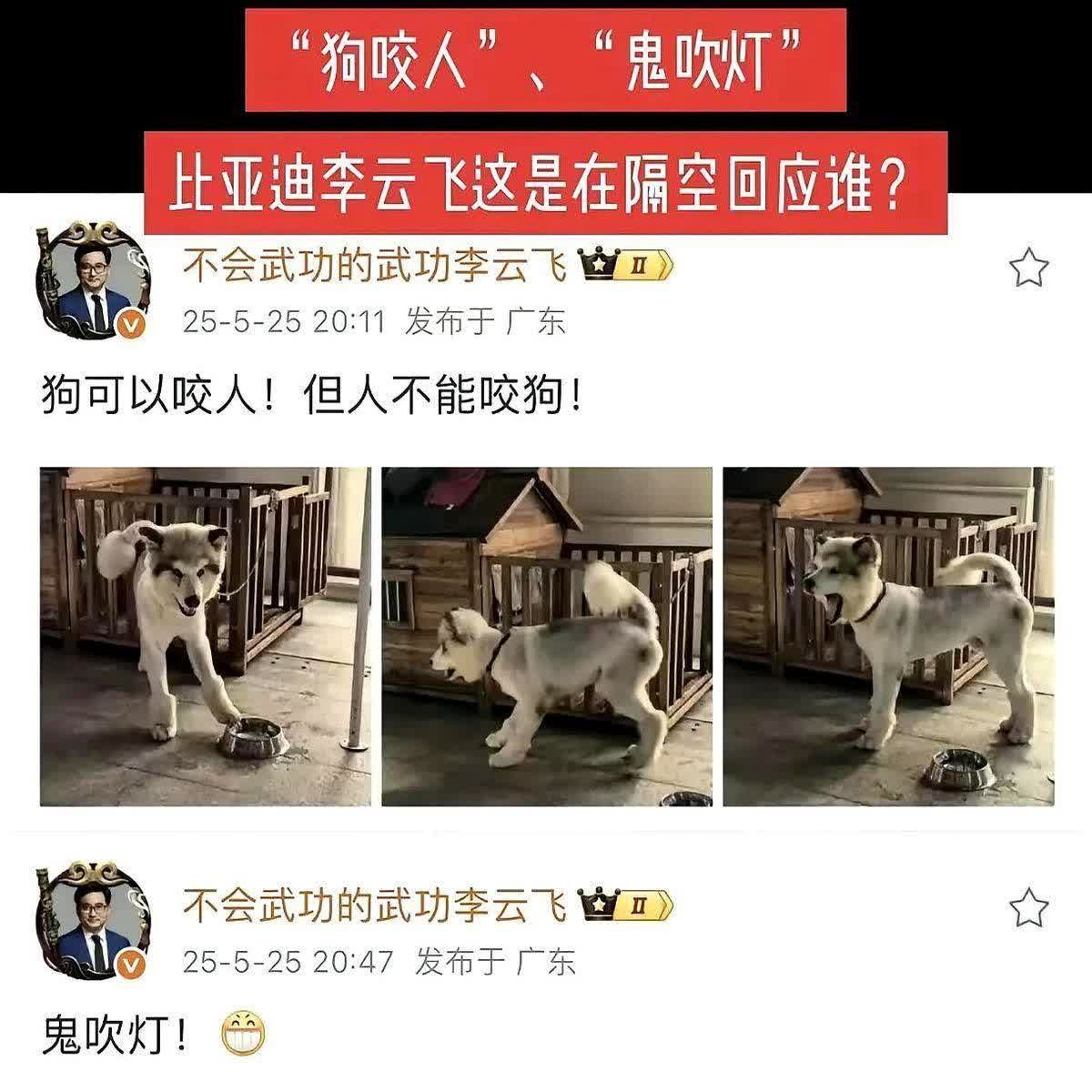 魏建军说别人降价玩“鬼灯”，结果扭头比亚迪直接甩了张降价王炸。海豹智驾版砍到