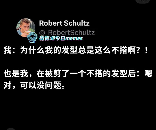 刀在手（RobertSchultz）今日meme今日memes