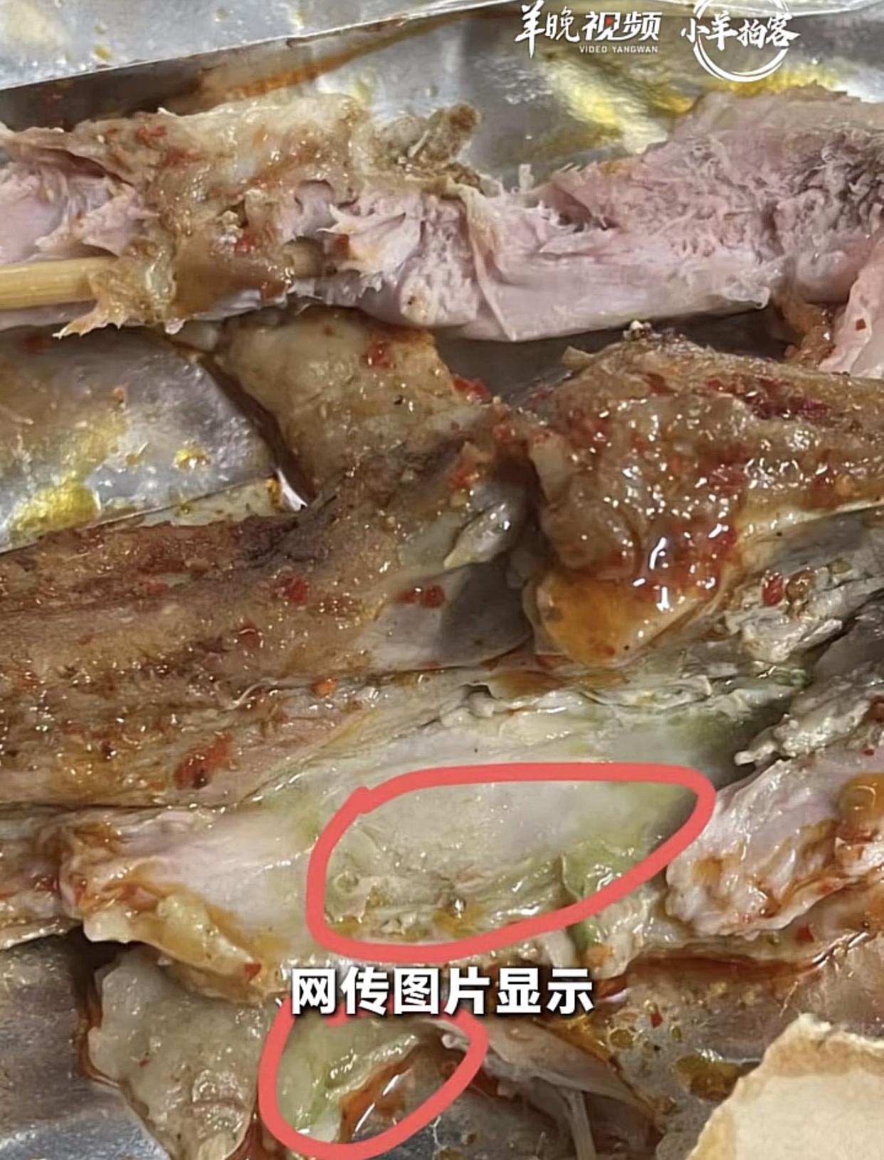 鸭腿当鹅腿，还一卖就卖10多年！一群单纯的学生，看见站在寒风里瑟瑟发抖的烧烤店