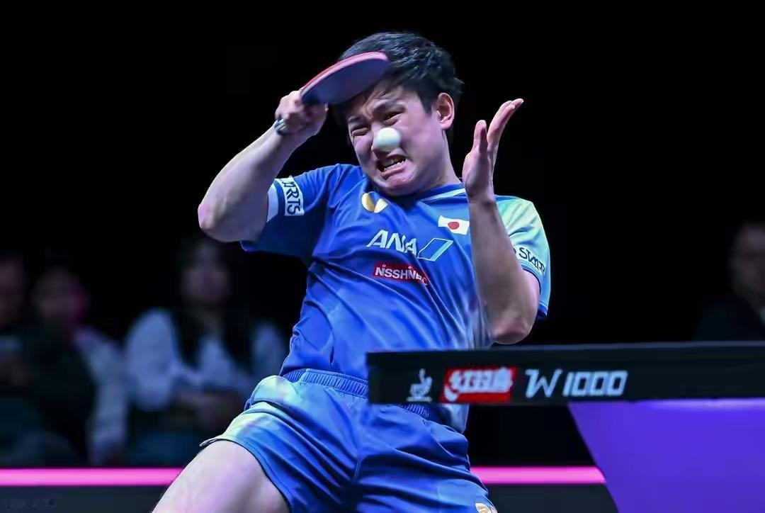 张本智和亦有让人佩服的地方！张本智和14岁出山，一直保持在一流选手行列，获得不少