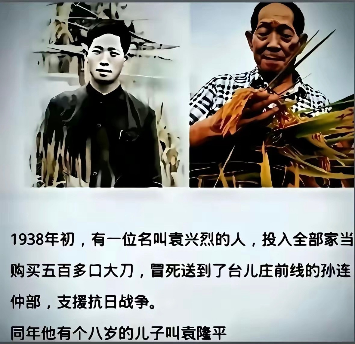 袁隆平老子英雄儿好汉抗日英雄杂交水稻之父