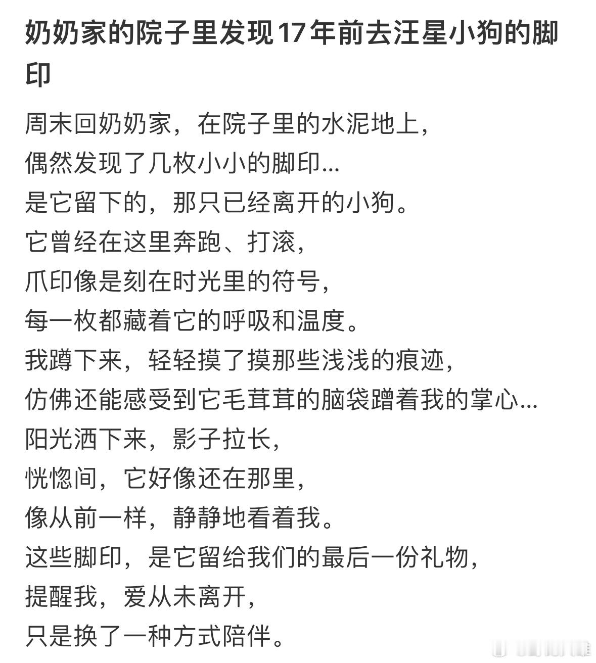 奶奶家院子里发现17年前去汪星小狗的脚印💧