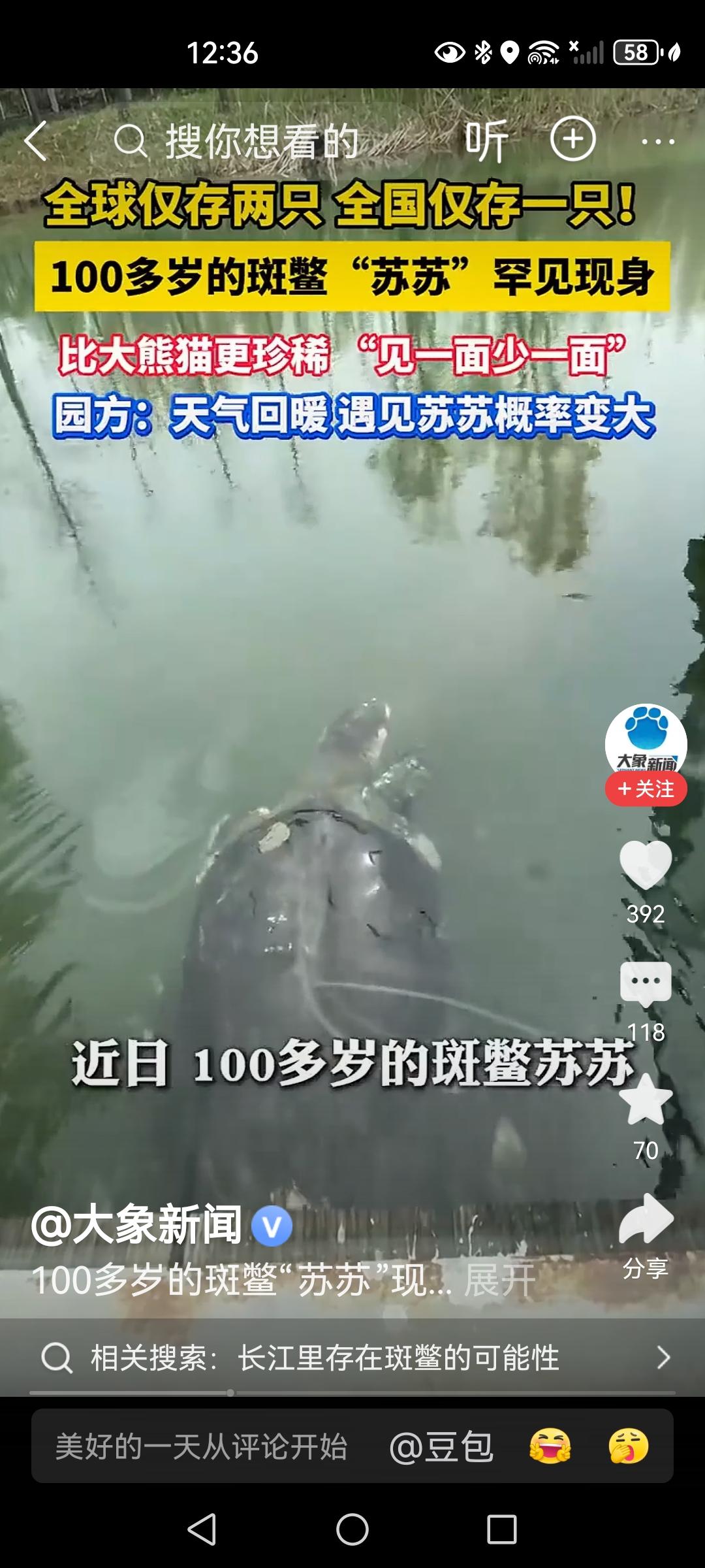 其实对这只斑鳖的宣传有一个误区。当年发现它特别稀少的时候，给所有的吃货省市都进行