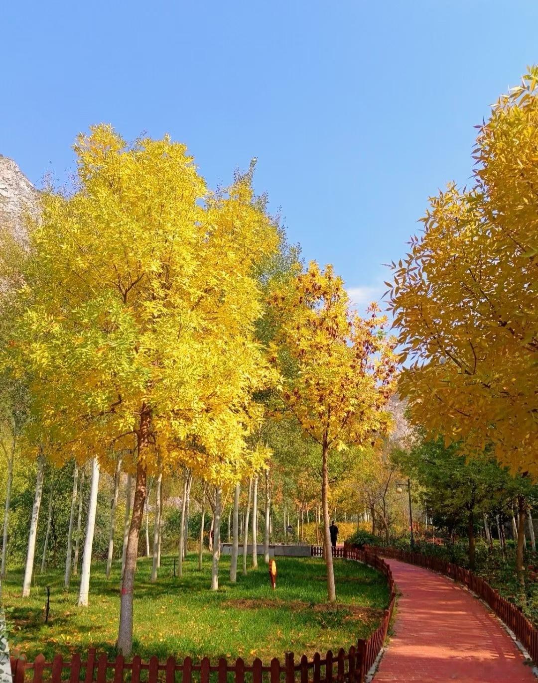 这幅画隔着屏幕都闻到花香在兰州罗九公路早起看花😘😘😘镜头里的陇