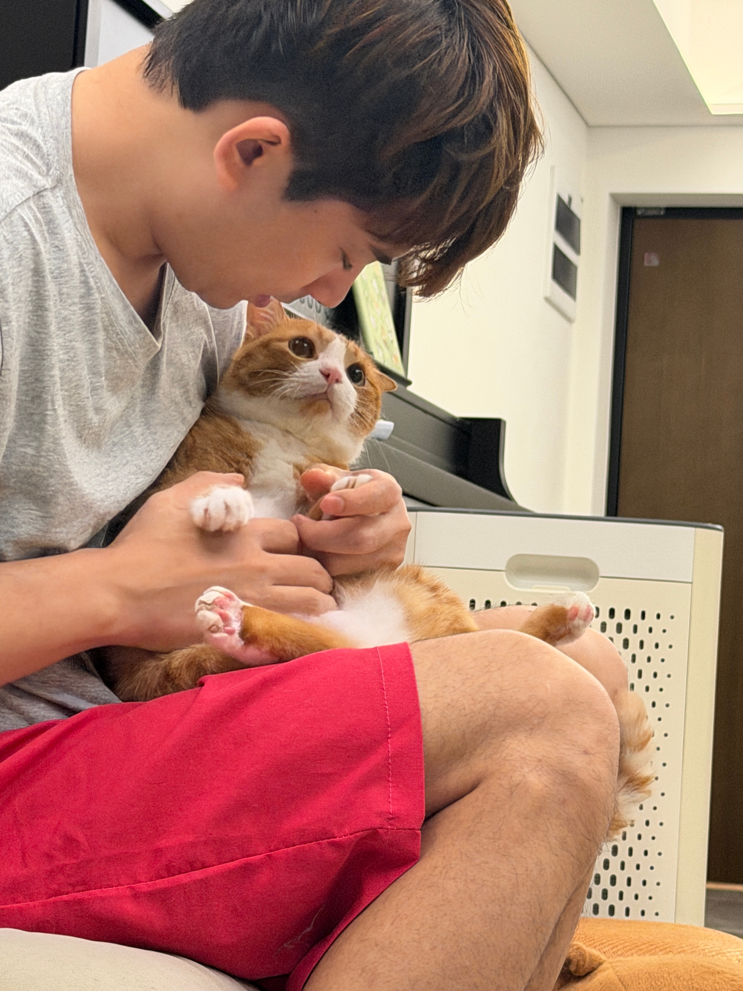 又在给我展示小猫咪的雷区😂一被咬后脖颈立马发狂咪包奇