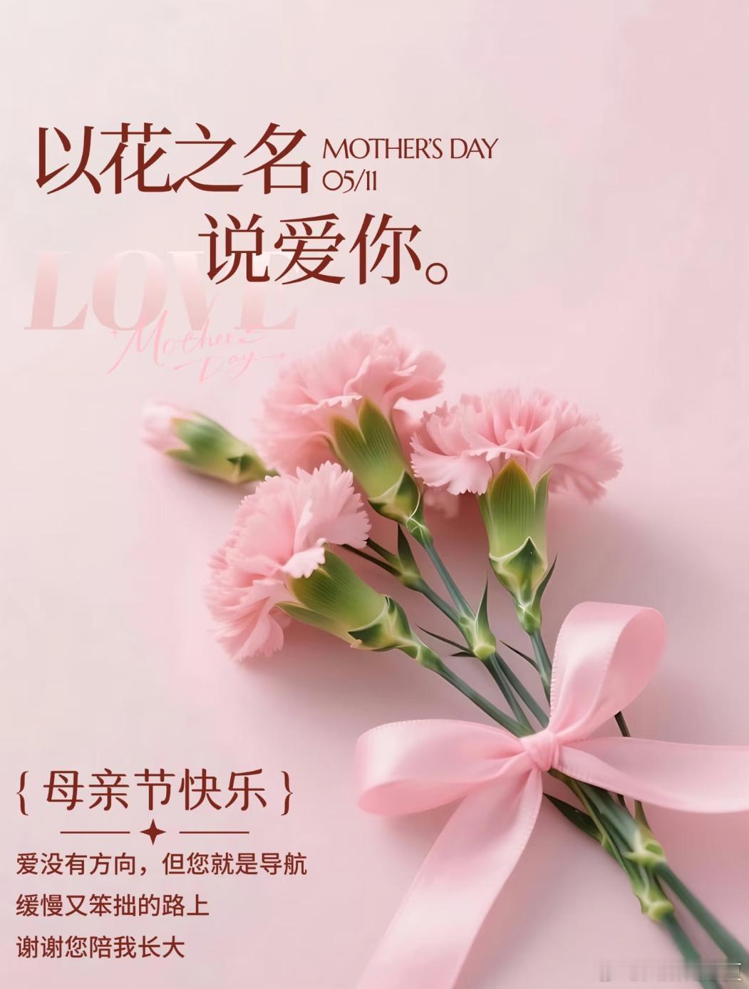 妈妈，您是我生命中最美的花，用一生的时光绽放着爱与温柔。岁月或许会在您的脸上留下