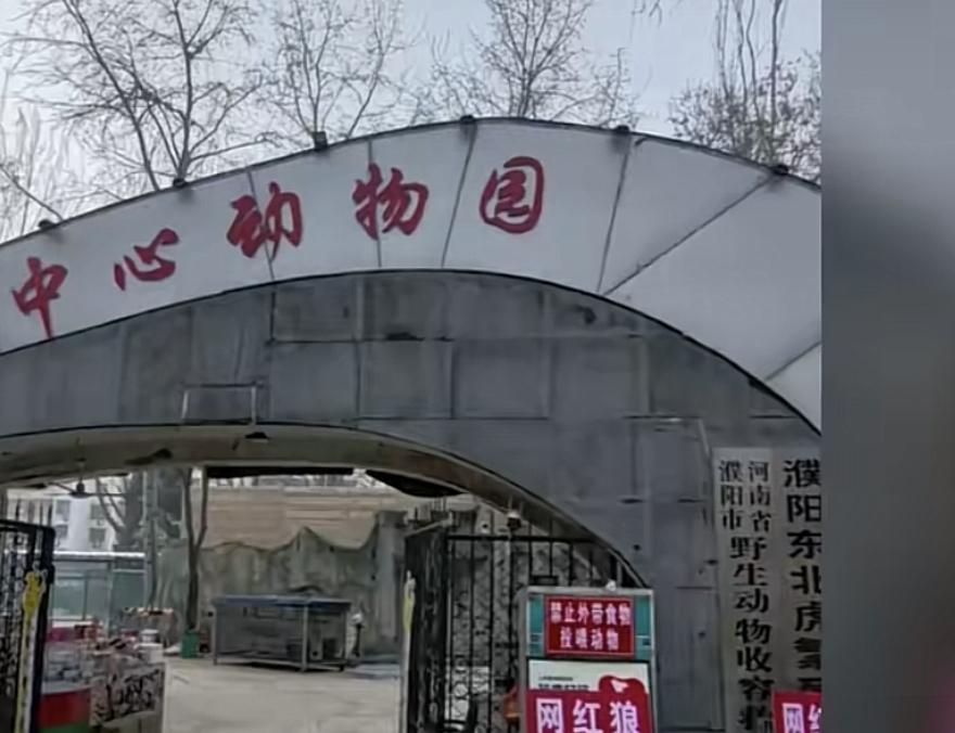 河南濮阳中心动物园，直播中“指鹿为马”，隐瞒网红东北虎幼崽“暖暖”死讯，饲养员“