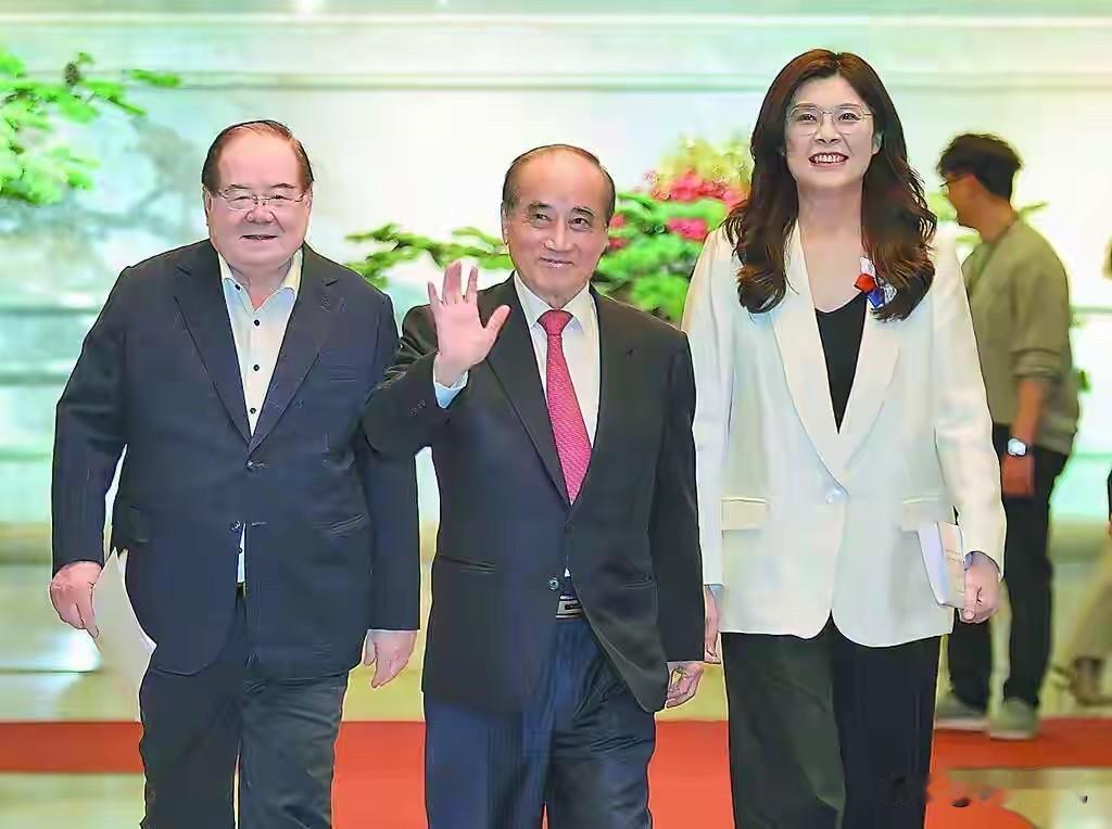 郑丽文掀桌子这一下，直接把国民党的“懒病”给治了？咱说句掏心窝子的实在话，以前