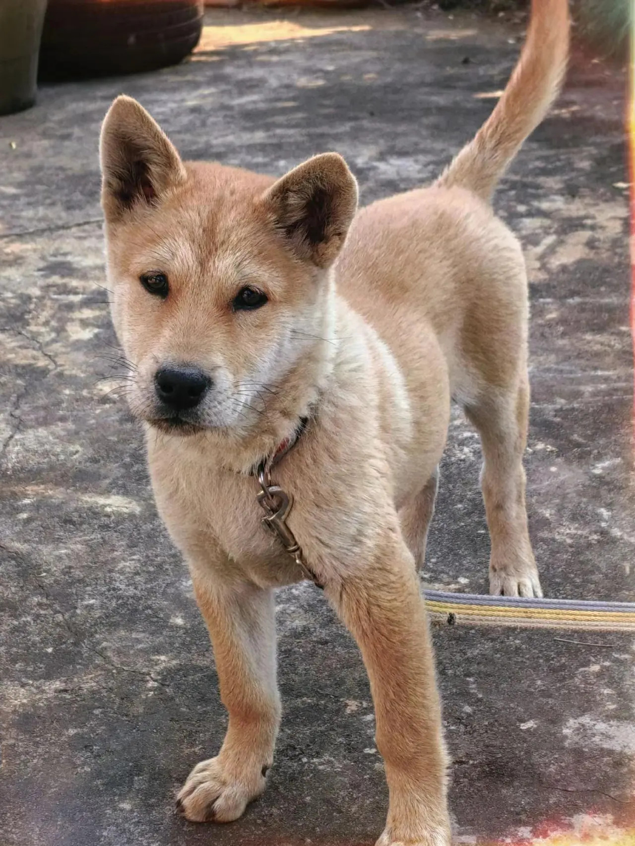 期待长大后的霸气😎