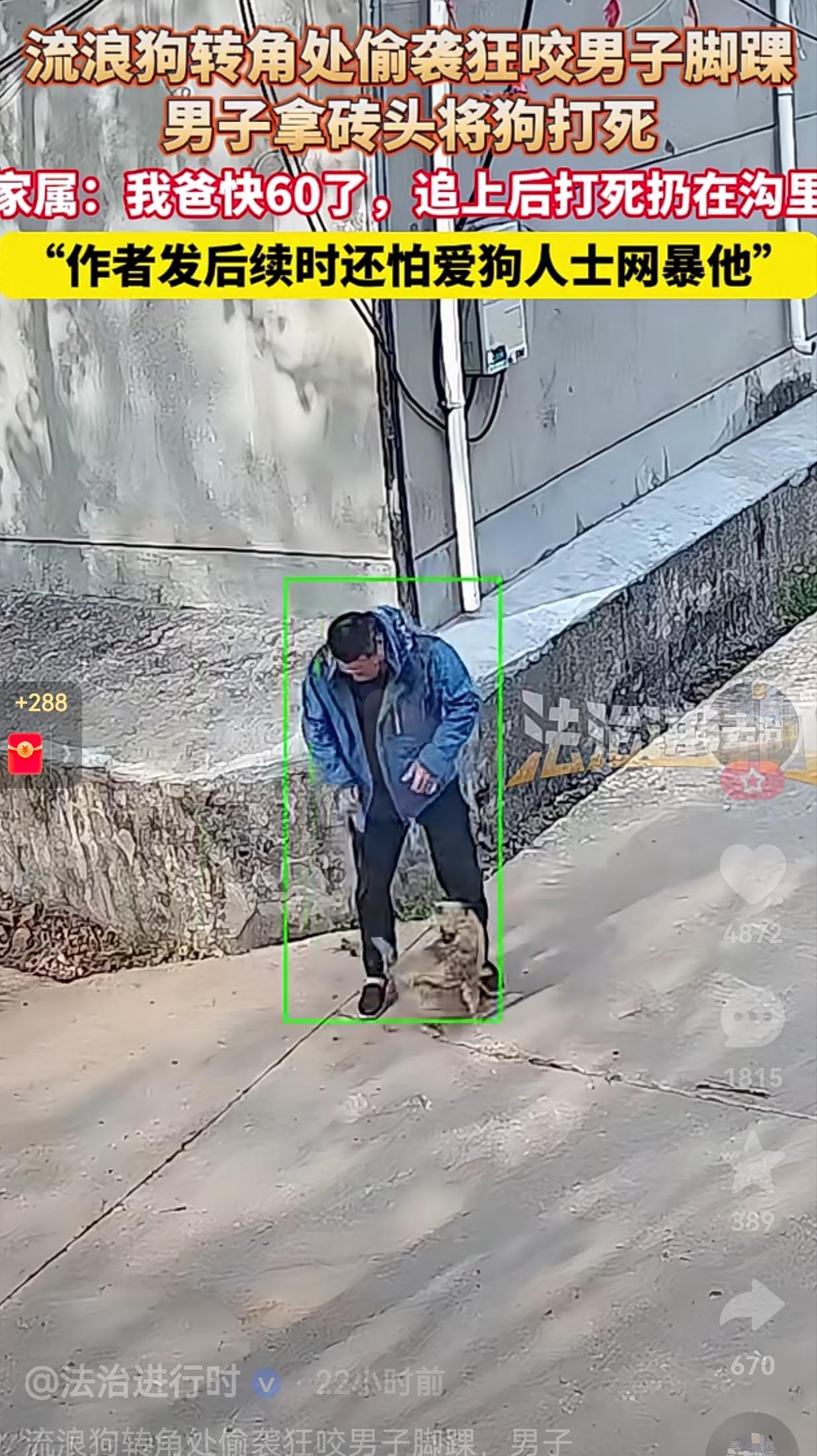 这样做一点毛病也没有！山东一男子在老家闲逛时，走到拐角处一流浪狗疯狂偷袭狂咬男子