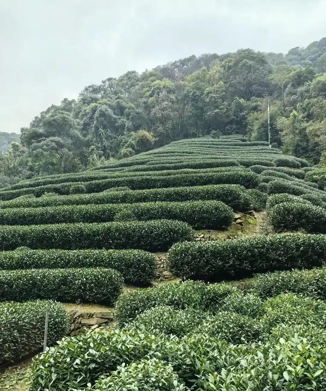 53岁作家老爸临走前把儿子叫到床边，丢下一句狠话：别给我搭灵棚，别买寿衣，火化完
