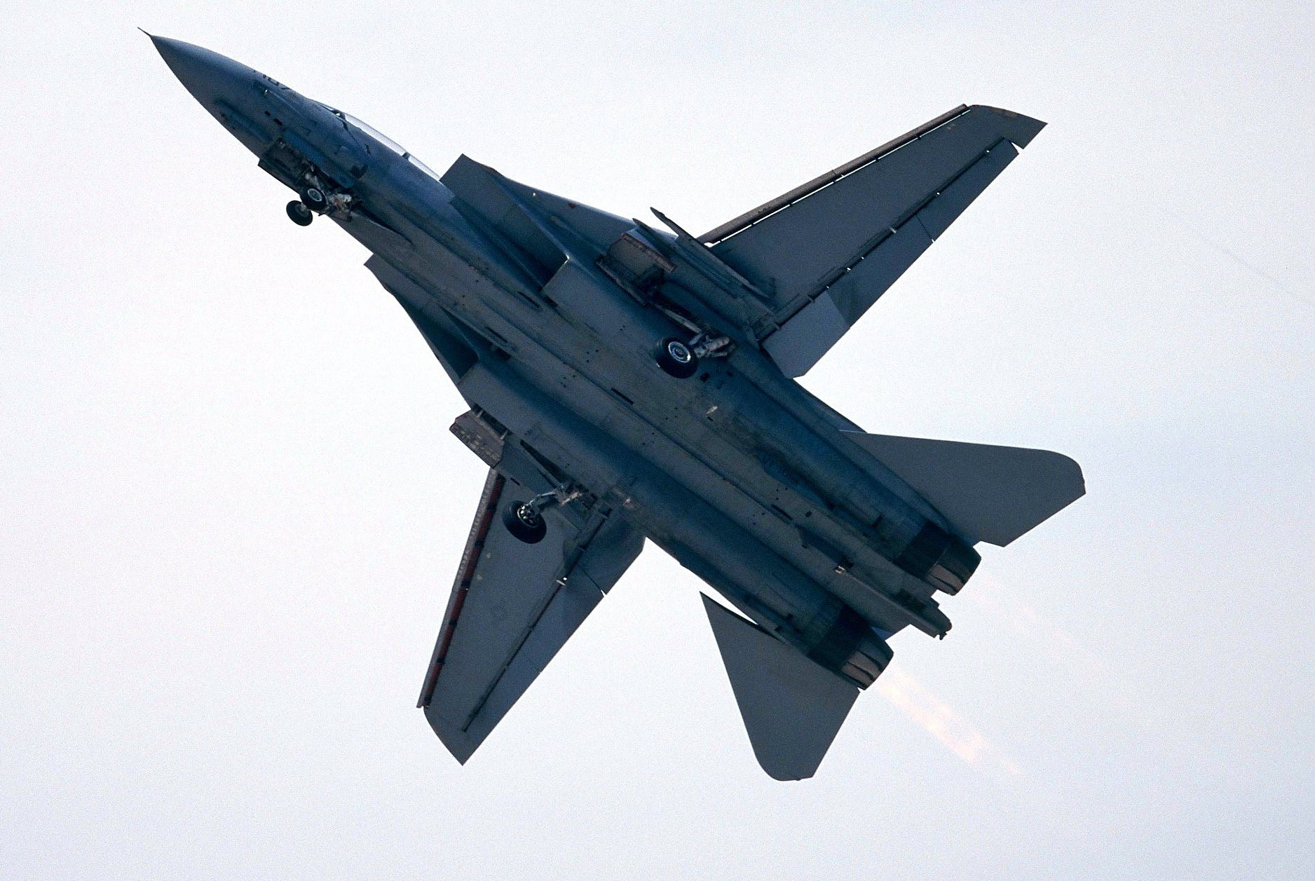 猫宁。1998年，米拉玛航空节上的F-14大猫​​​
