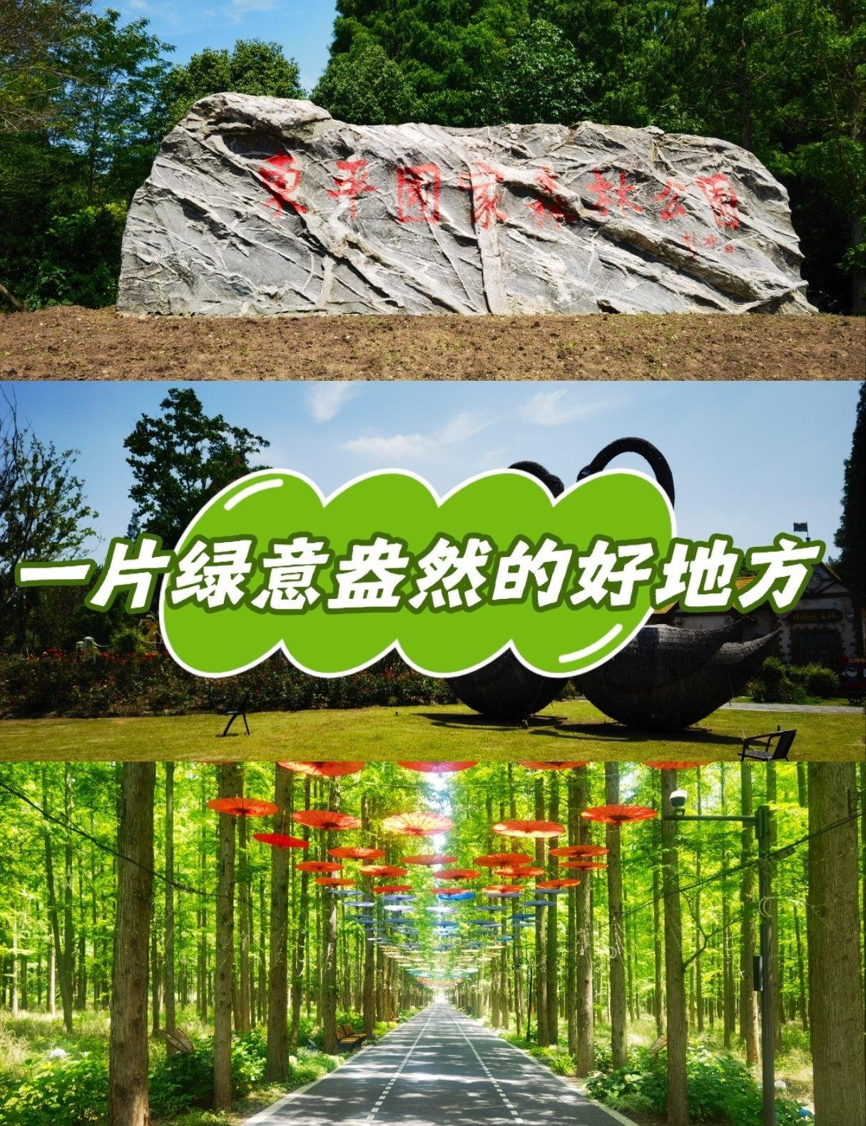 0元玩转这座城0元玩转这座城周末来到崇明体验农家乐，就顺便去东平国家森林公园逛了