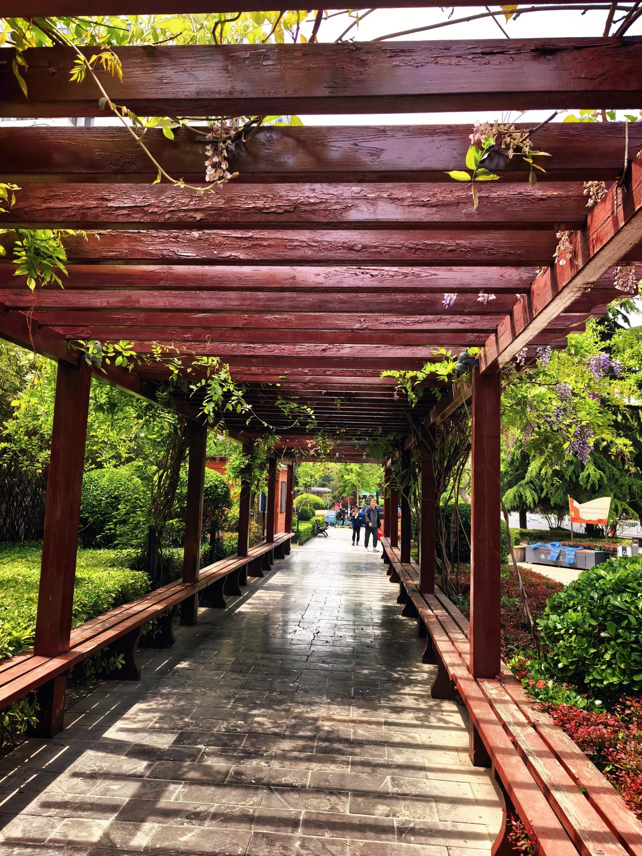 到底啥叫孝顺？朋友的老妈八十多岁了，有三高，心脏也不好。去年突然脑梗，幸亏送