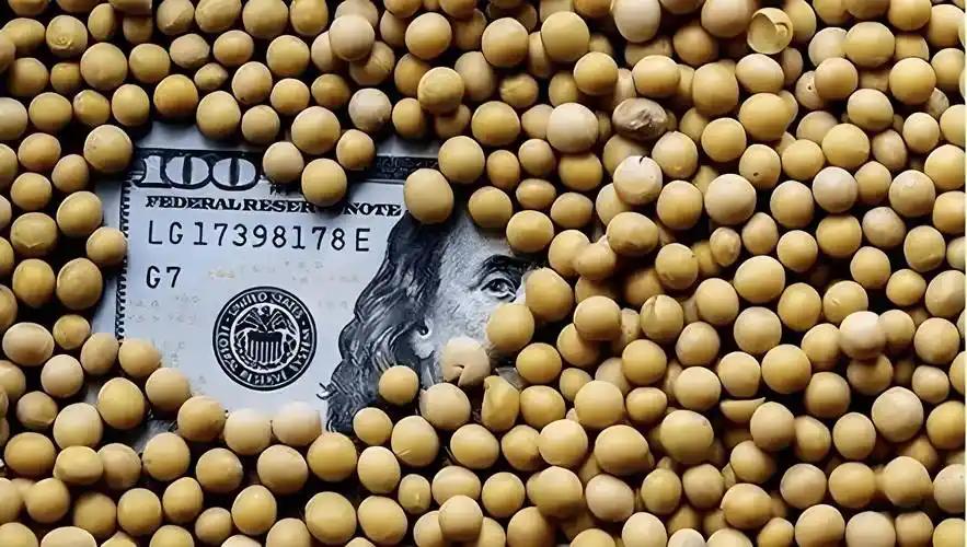 特朗普终于能跟农业州的选民交代了。1200万吨大豆订单落袋，他松了一口气。
