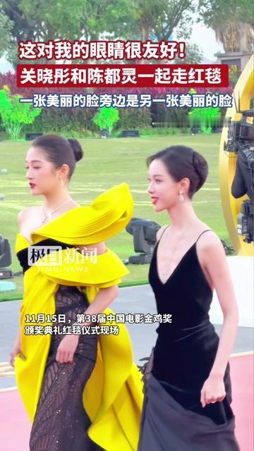 昨天刷到关晓彤陈都灵的红毯同框，我没急着比谁美，反而盯着看了三分钟，原来美女凑一