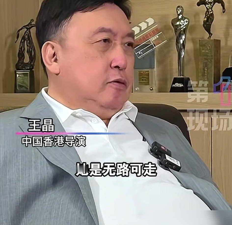 王晶骂蔡少芬卖情怀，看完真相我真堵得慌。去年王晶在自己节目说，蔡少芬当年拍《甄嬛传》是走投无路碰运气