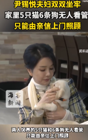 尹锡悦夫妇没有子女，两人酷爱宠物，一共饲养的5只猫和6条狗。过往，我们看过很多两