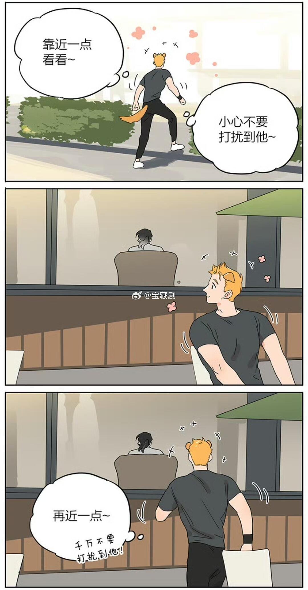 捡了东西的狼慢慢靠近狼王的开心小狗漫画动漫仲夏狂欢季cr：麻尾