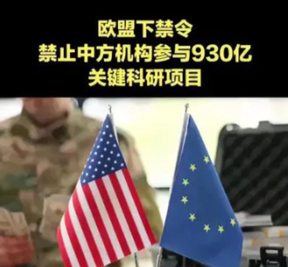 欧盟这波操作，真是又蠢又短视！历史又要重演了欧盟正式官宣：禁止中国参与总预算