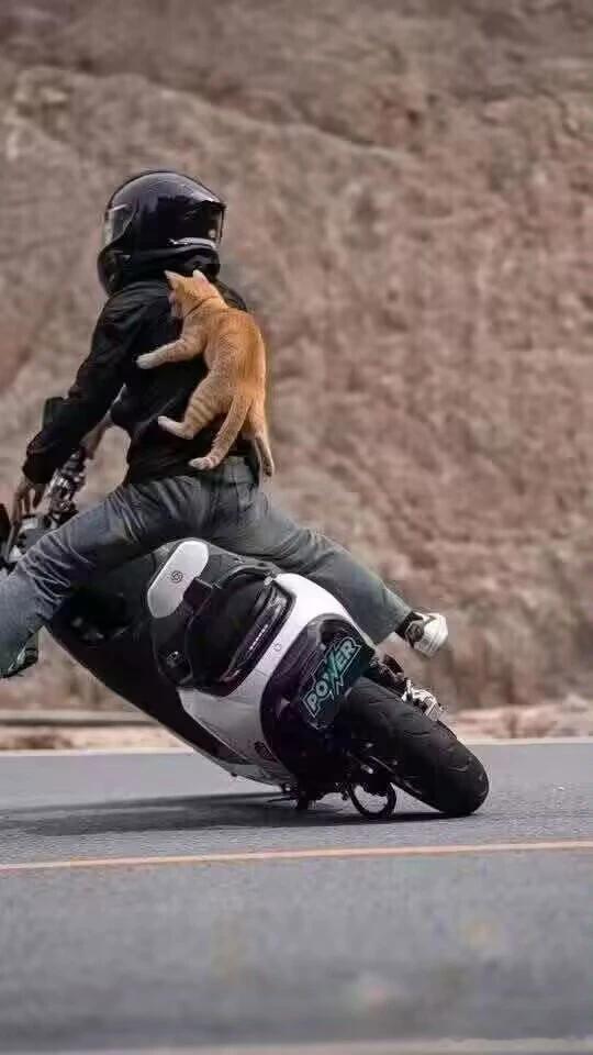 拍摄就该有故事感​​​