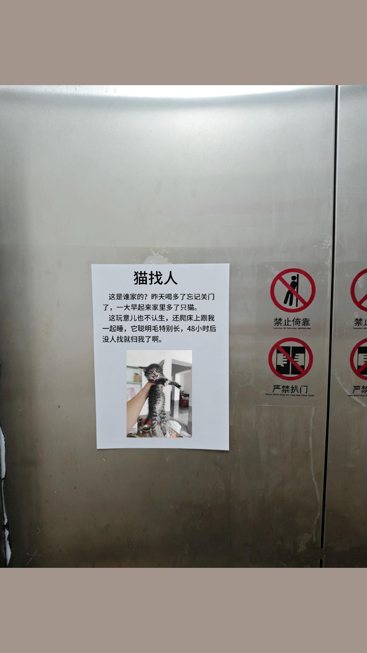 我是不是要有猫了？猫咪萌宠出道计划