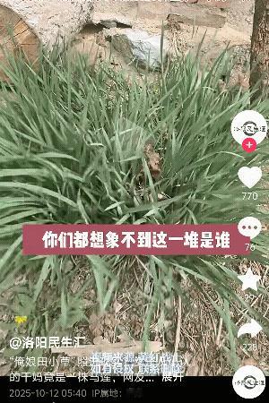 “长见识了！”辽宁，一女子指着一堆草大笑说:这是我“干妈”！有网友说:你这没大没