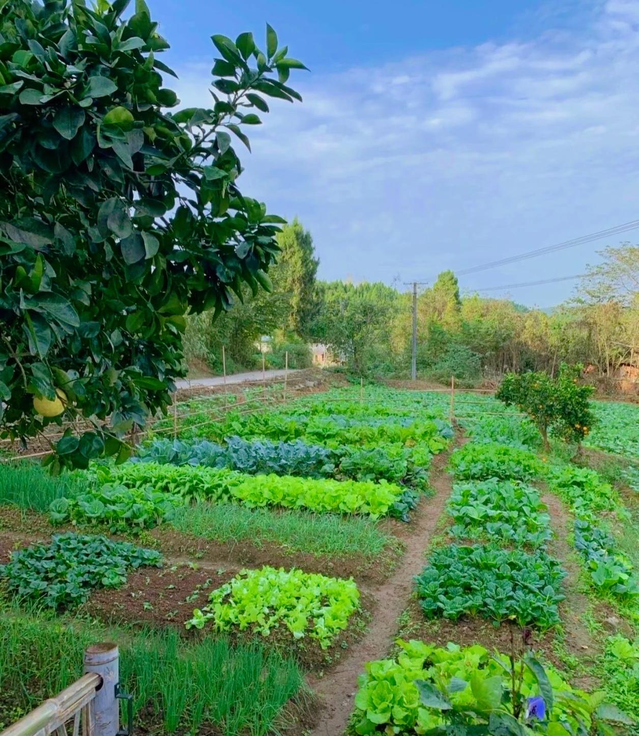 别觉得公婆留养老钱自私老两口攒点钱不容易，留着养老是给自己兜底。万一哪天生病住