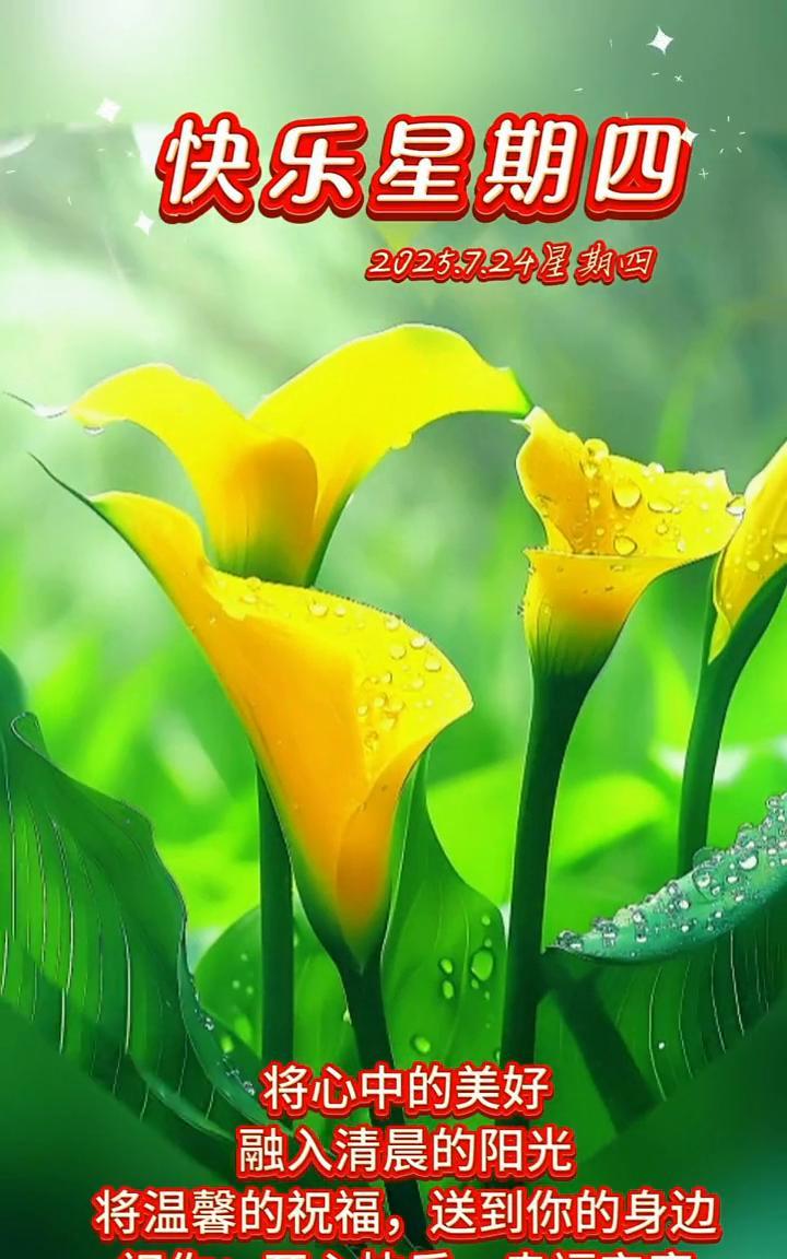 快乐星期四。2025.7.24星期四。将心中的美好融入清晨的阳光，将温馨的祝福
