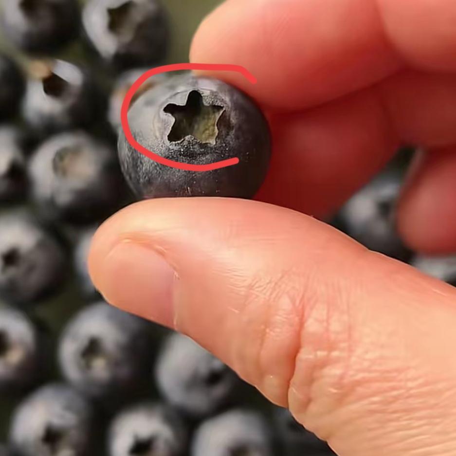 真的越想越后怕，家里有孩子的，买蓝莓千万千万要仔细检查！