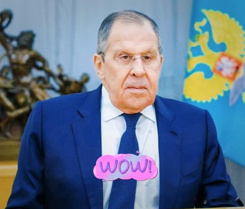 各方都在赌，乌克兰到底撑不撑得住？1月29日，俄罗斯外长拉夫罗夫在莫斯科