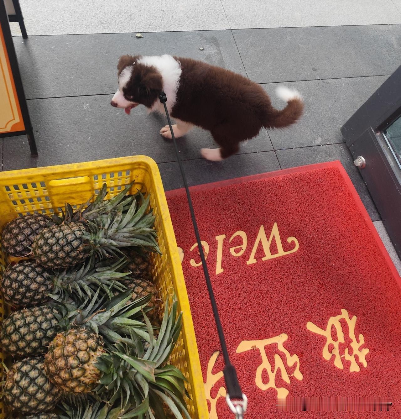有个阿姨，进来店里溜了一圈，什么都不买，最后出去了一分钟不到又返回来，问我1.9